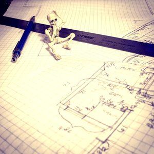 Meet your Posher, Carolyn